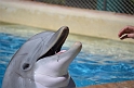 Kids_SeaWorldSA-2013 (17)
